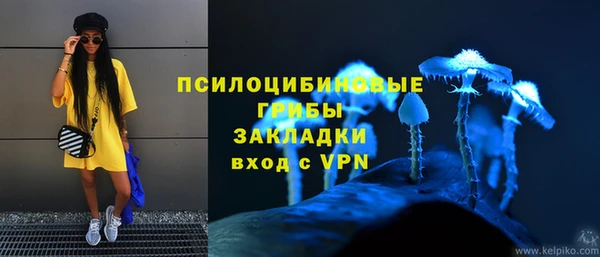 мяу мяу кристалл Гусиноозёрск