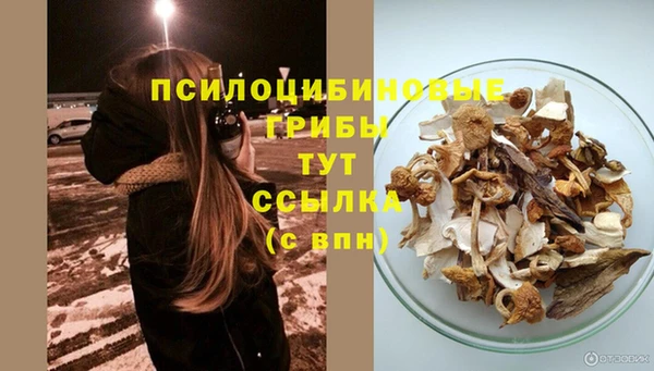 кокаин Гусь-Хрустальный