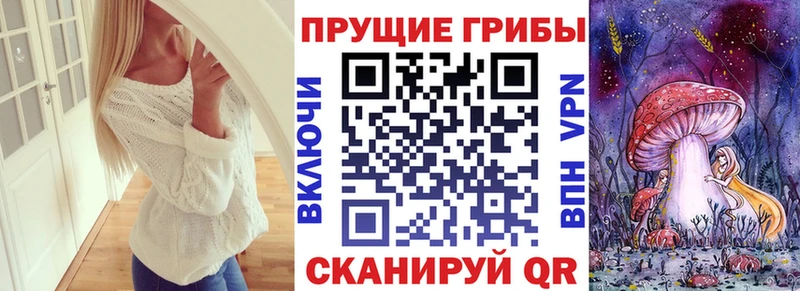 закладка  Оха  Галлюциногенные грибы Cubensis 